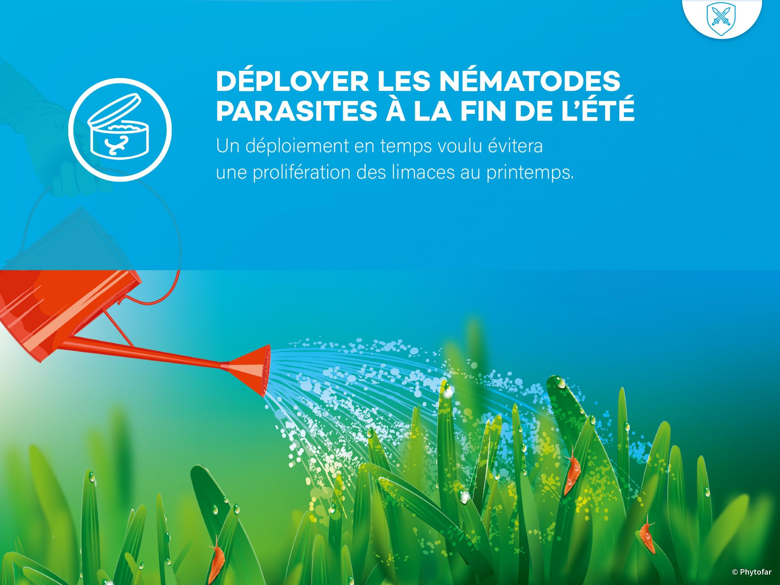 lutter-contre-les-limaces-lutter-contre-les-hotes-indesirables-dans-le-jardin