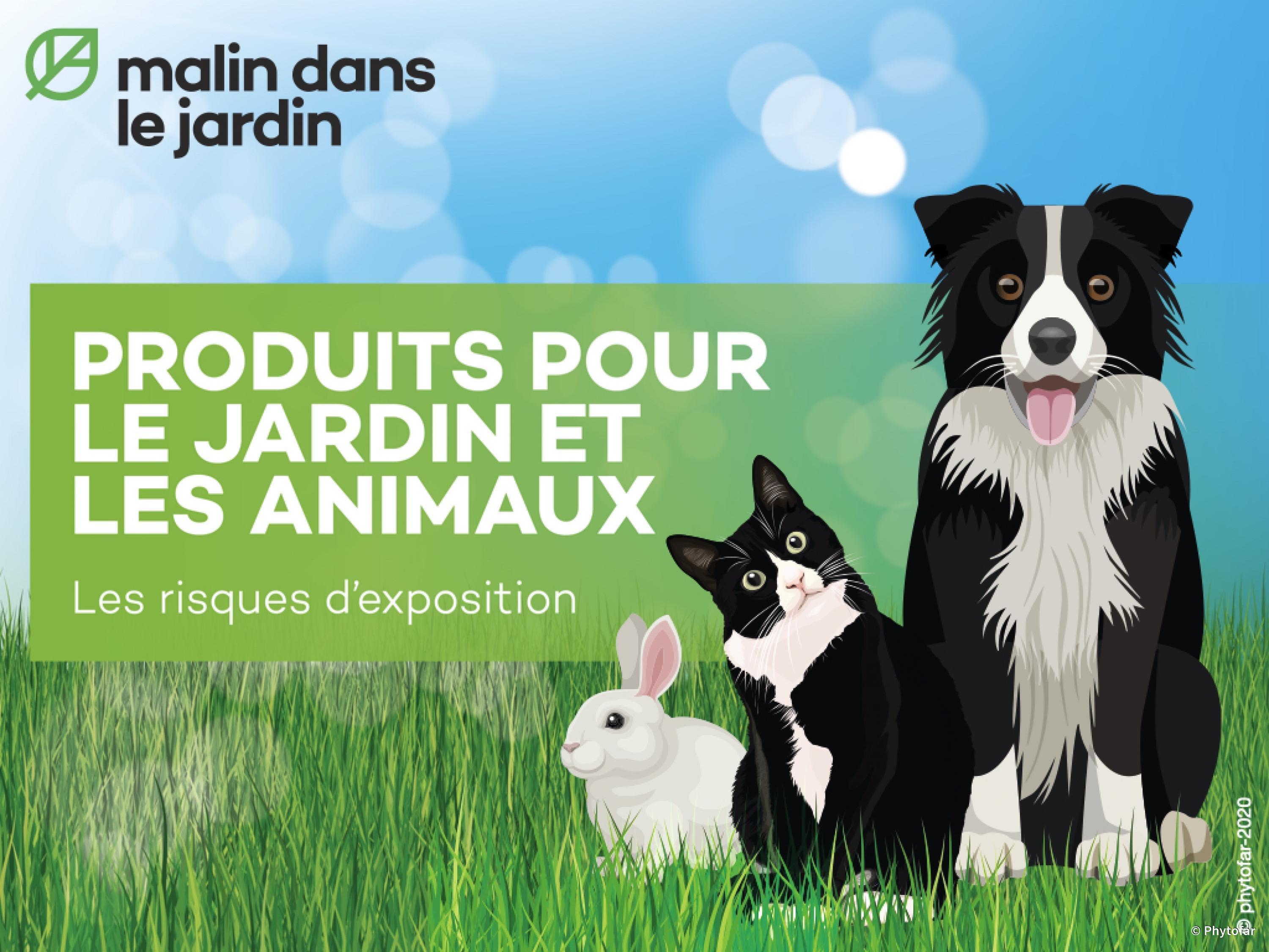 animaux-domestiques--risques