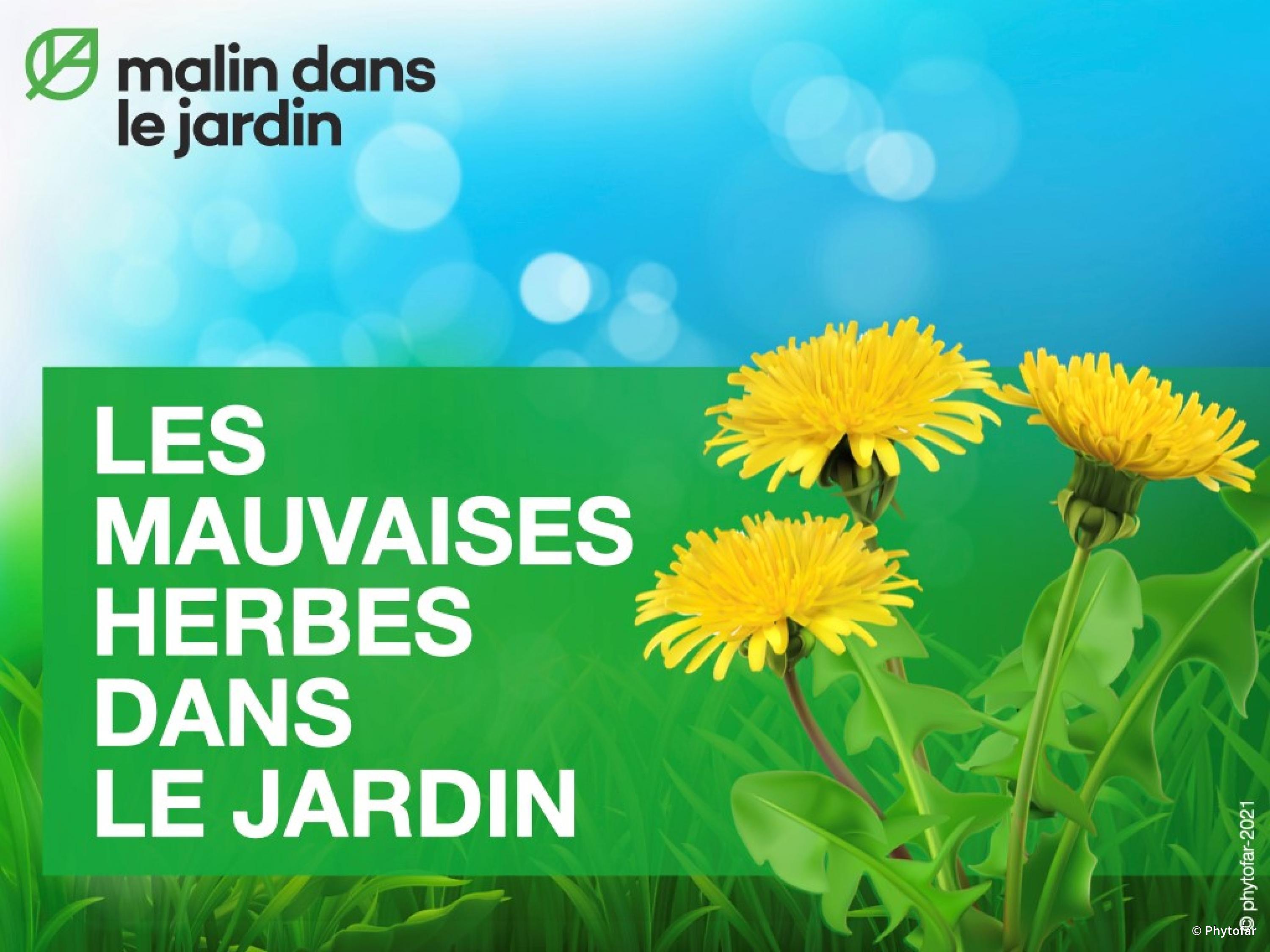 les-mauvaises-herbes-dans-le-jardin