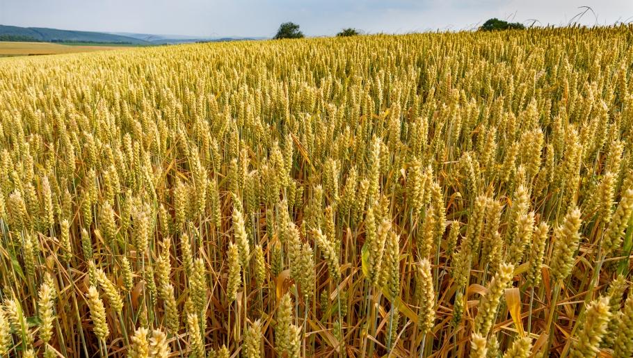 vision-mission-et-valeurs