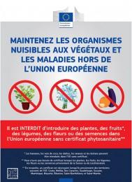 voyager-a-l-etranger--contribuez-a-prevenir-lapparition-de-maladies-vegetales-en-belgique