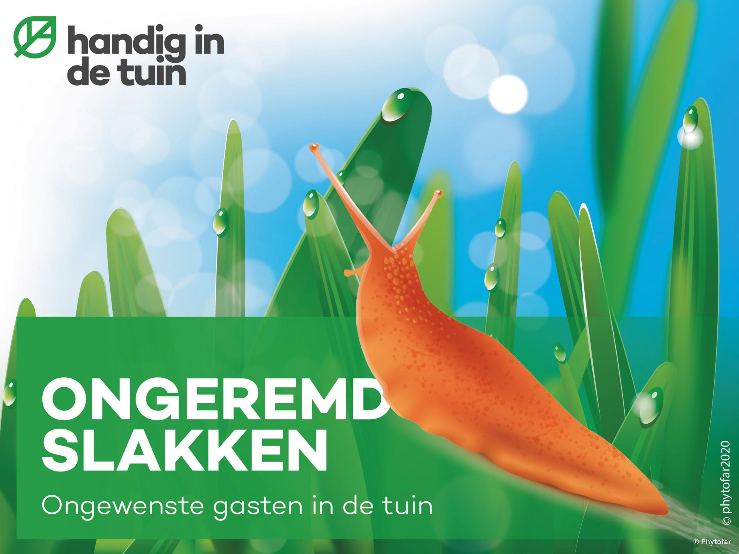ongeremd-slakken-ongewenste-gasten-in-de-tuin