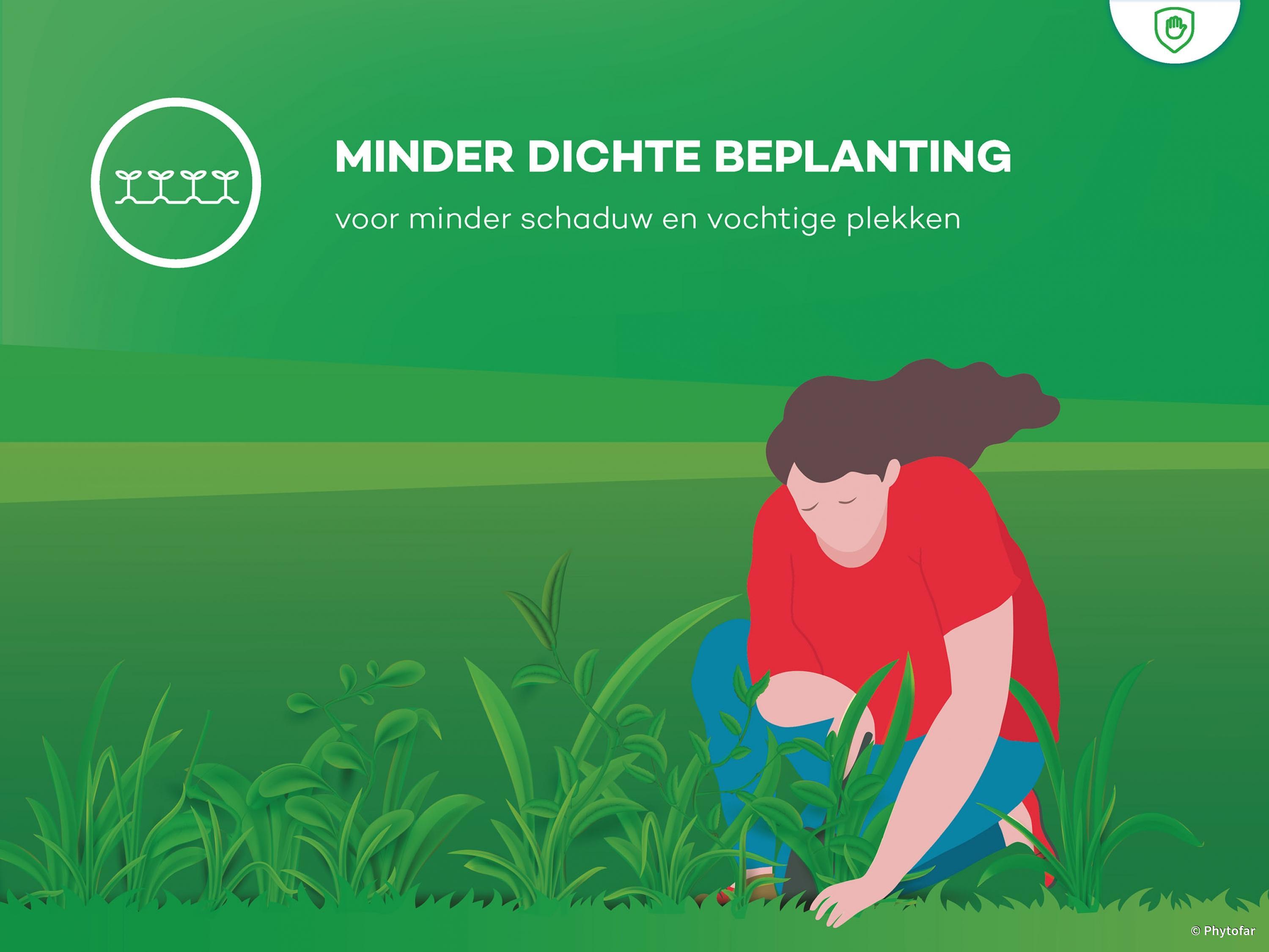 slakken-voorkomen-ongewenste-gasten-in-de-tuin-voorkomen