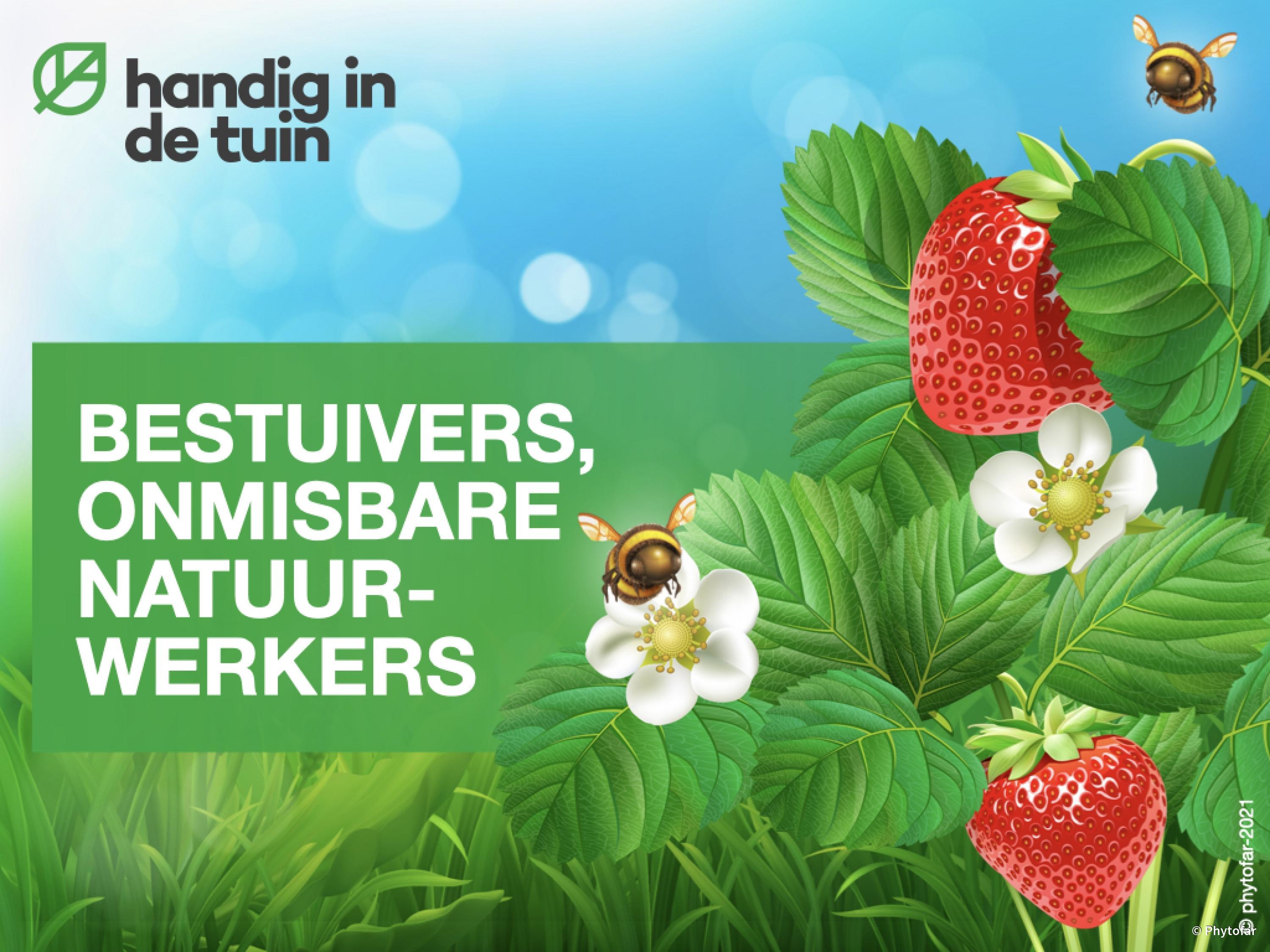 bestuivers-onmisbare-natuurwerkers