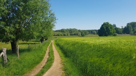 algemene-vergadering-belplant-2025-klimaatverandering-en-aanpassingen-in-voedselproductie-en-gewasbescherming