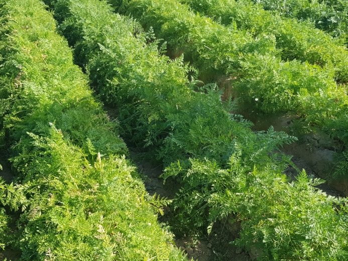 gereedschapskist-landbouwers-is-in-gevaar